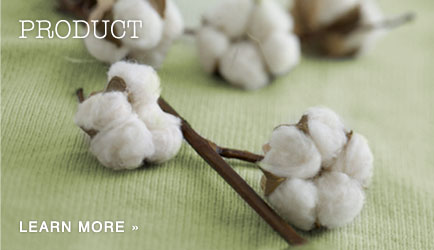 Shop eco-friendly products