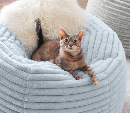 Channel Fur
