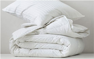 Quality Guides: Bedding Basics