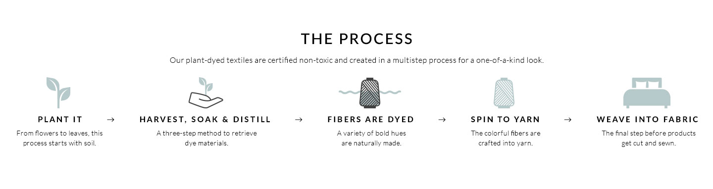 The Process The Process