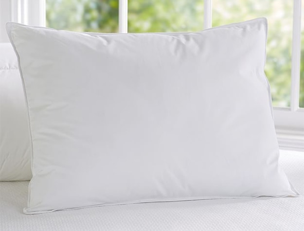 Essential white pillow insert