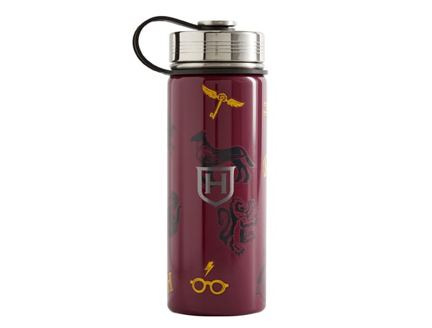  Simple Modern Harry Potter Kids Water Bottle