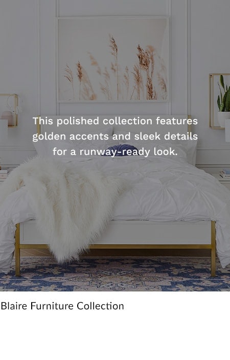 Blaire Furniture Collection