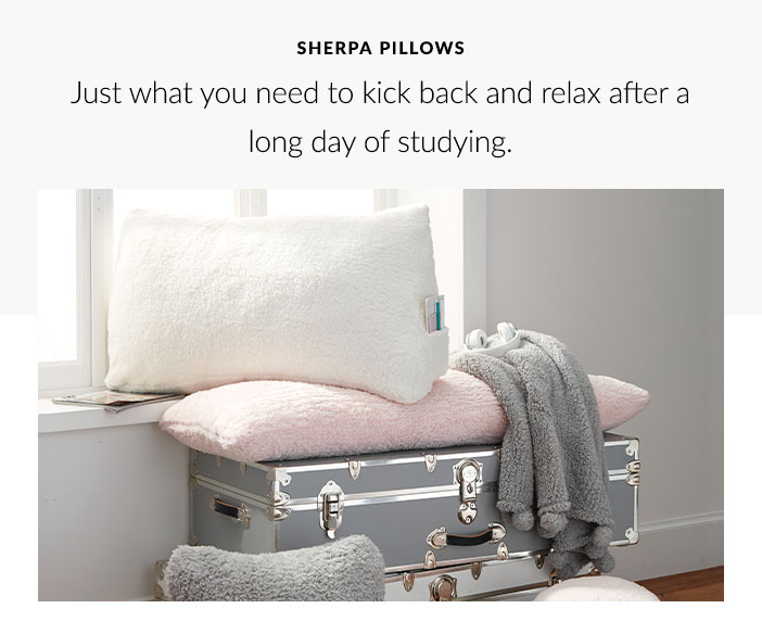 Sherpa Pillows – Just what you need to kick back and relax after a long day of studying.