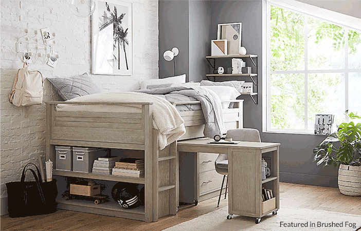 Sleep & Study Collection