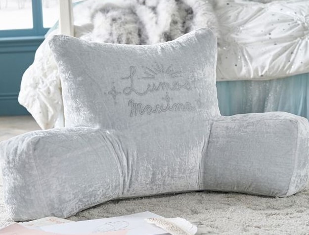 A velvety backrest pillow cover features the phrase “Lumos Maxima” next to some notebooks and a quill. 