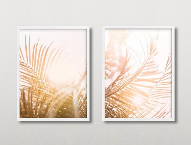 Framed art prints of palms