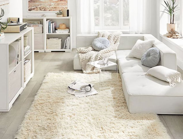 Ivory shag rug in living room with white furniture