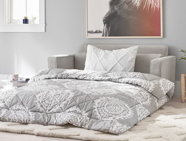 Grey sleeper sofa in living room