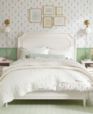 Our New AERIN Collection