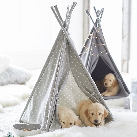 puppy teepee