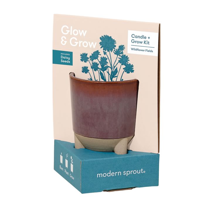 glow & grow candle grow kit