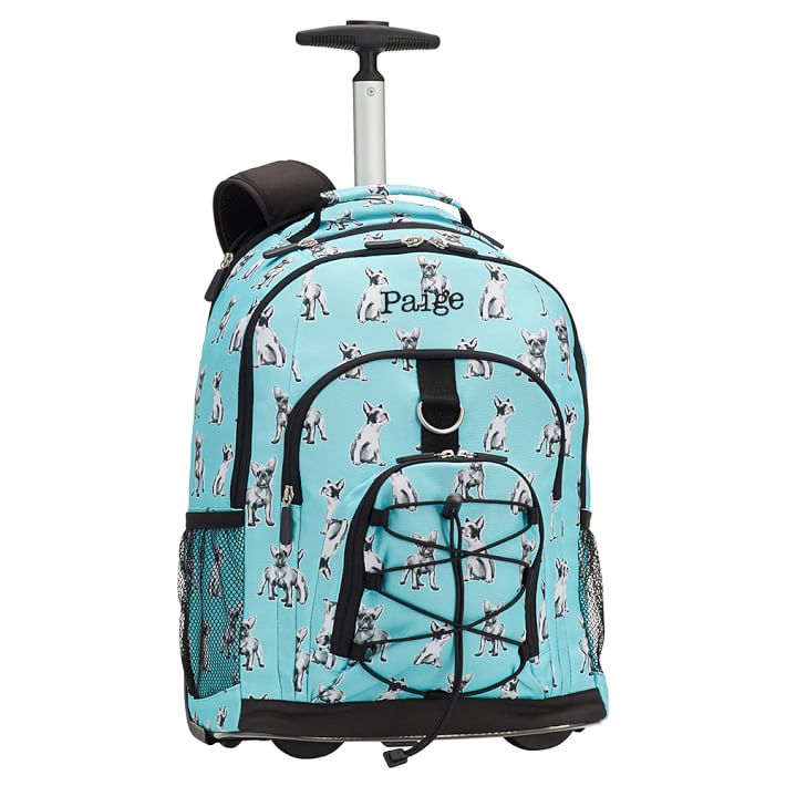 designer rolling backpack