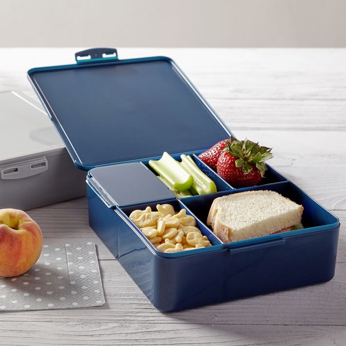 Bento Box Lunch Container | Pottery Barn Teen