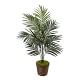 Faux Potted Palm Tree | Pottery Barn Teen