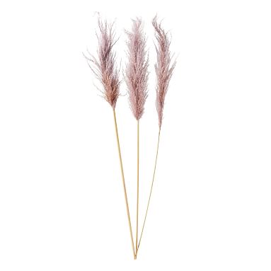 Tall Dried Pampas Bundle, Set of 3, Lavender