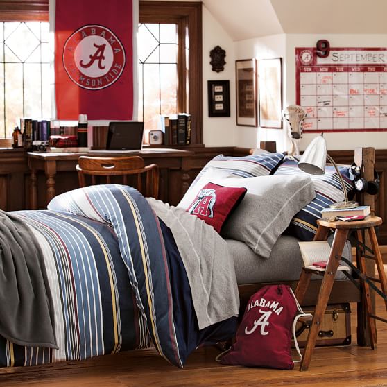 Collegiate Needlepoint Boys Pillow Pottery Barn Teen