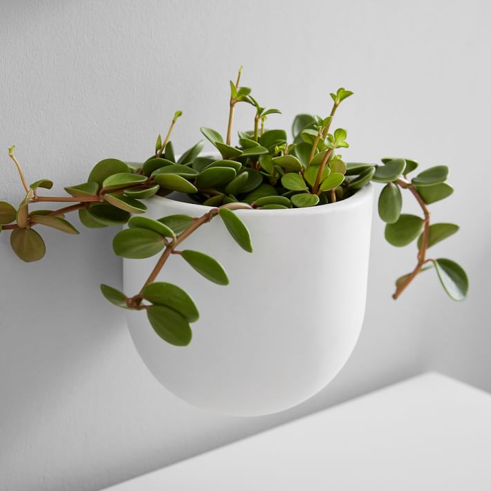 west elm x pbt Ceramic Wallscape Planter Pottery Barn Teen