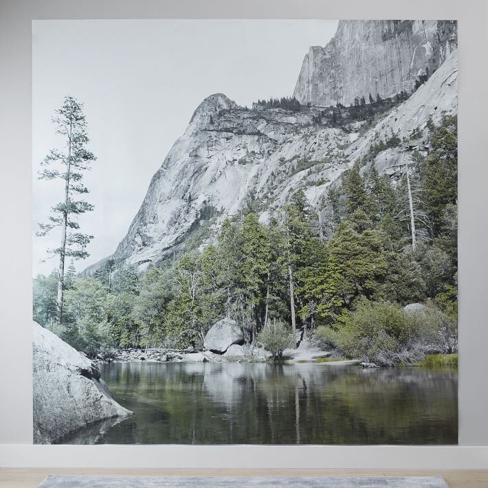 Mountain Scape Mural Wallpaper | Pottery Barn Teen