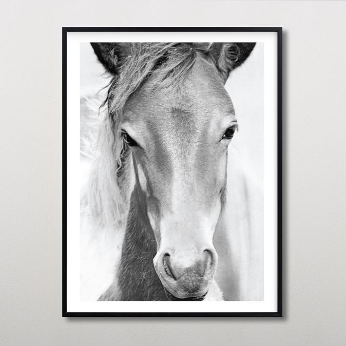 Wild and Free Framed Art by Minted® | Wall Prints | Pottery Barn Teen