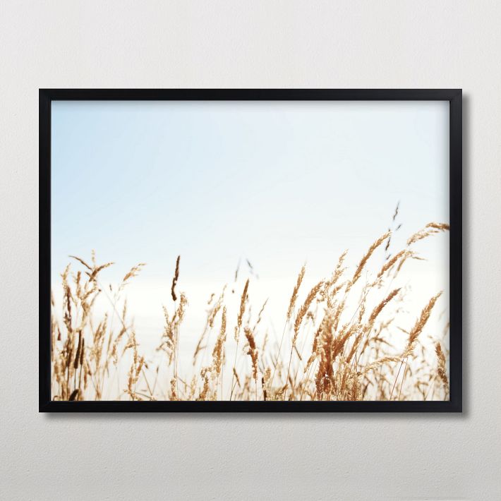 Minted® Windswept View Framed Art by Kendall Pottery Barn Teen