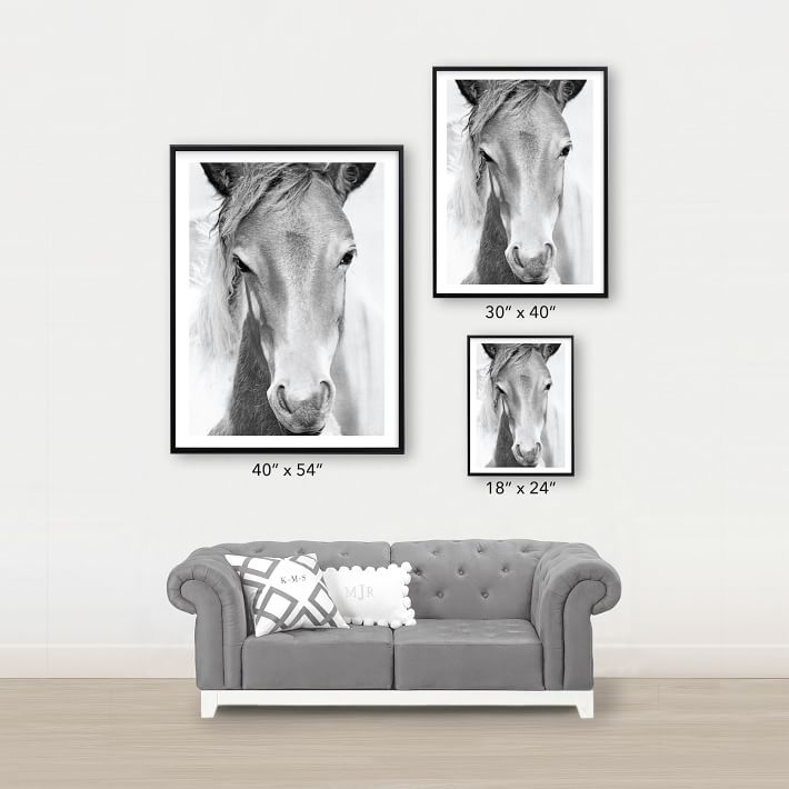 Wild and Free Framed Art by Minted® Wall Prints Pottery Barn Teen