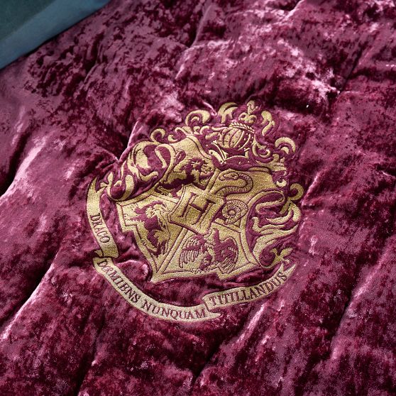 Harry Potter™ Hogwarts™ Crest Velvet Sleeping Bag | Pottery Barn Teen