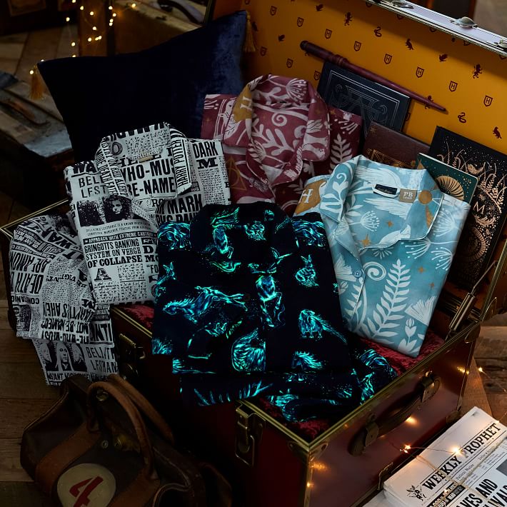 Pottery Barn Harry Potter Pajamas