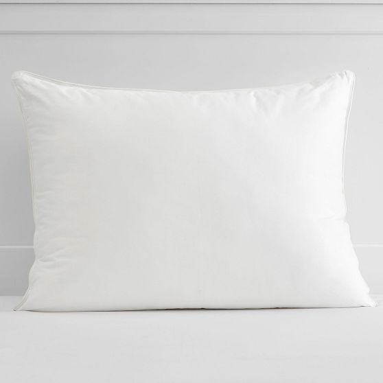 Organic Standard Pillow Insert Pottery Barn Teen