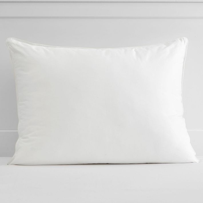 Organic Standard Pillow Insert Pottery Barn Teen