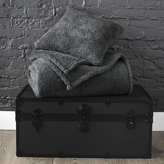 Cozy Sherpa Bed Blanket & Pillow Gift Set Pottery Barn Teen