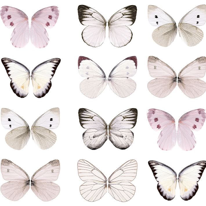 Butterflies Removable Wallpaper | Pottery Barn Teen