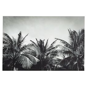 Palm Canvas Art, 36