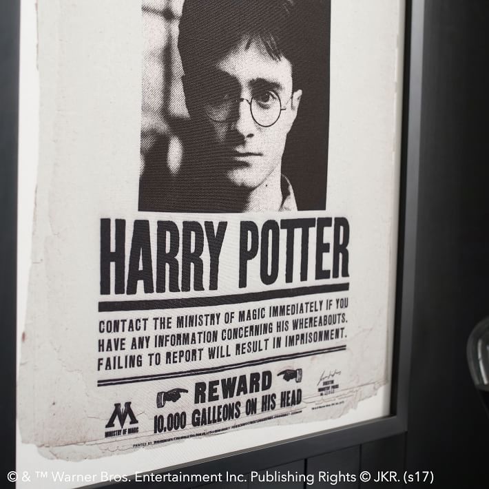 Poster: Harry Potter - Undesirable #1 (22x34) – BananaRoad