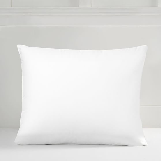 Down Standard Pillow Insert Pottery Barn Teen