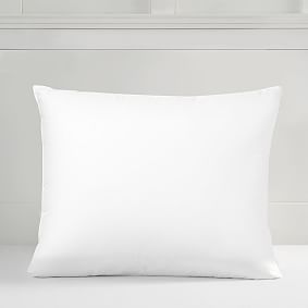 https://assets.ptimgs.com/ptimgs/ab/images/dp/wcm/202342/0247/classic-feather-standard-pillow-insert-h.jpg