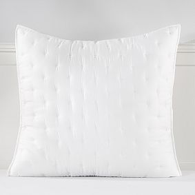 Pottery barn euro outlet pillow covers