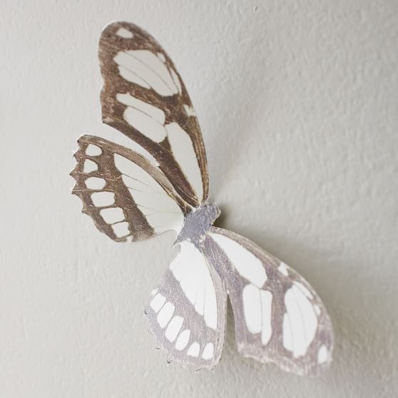 3D Butterflies, Set of 20 | Pottery Barn Teen