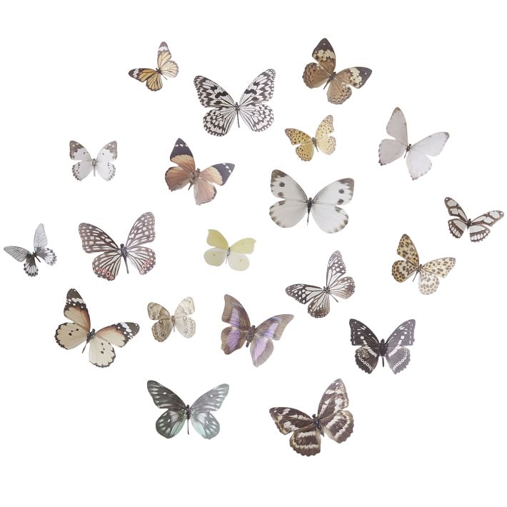 3D Butterflies, Set of 20