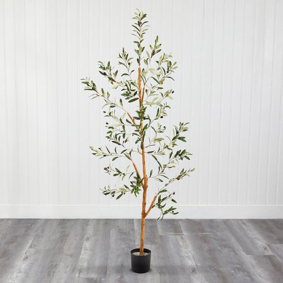 Faux Olive Tree Pottery Barn Teen