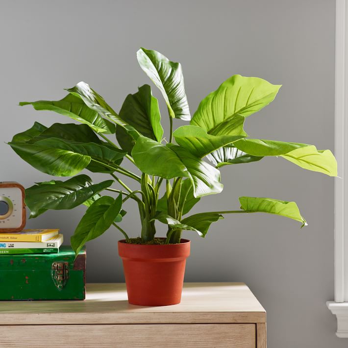 Faux Potted Philodendron Plant
