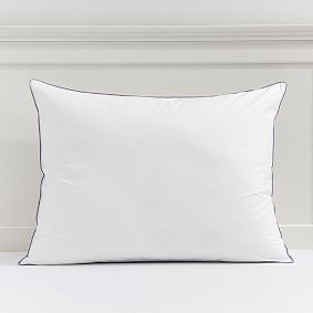 Pottery barn pillow outlet inserts 20 x 20