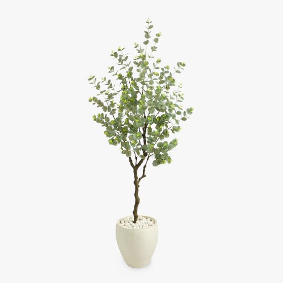 Eucalyptus Artificial Tree Pottery Barn Teen