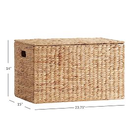 Hudson Woven Trunk | Pottery Barn Teen