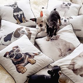 Party Dogs Pillow Cover, Frenchie