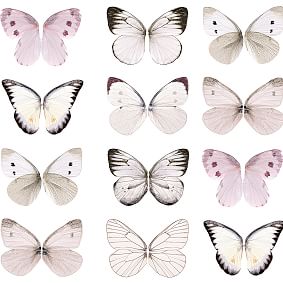 Butterflies Removable Wallpaper | Pottery Barn Teen