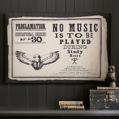 HARRY POTTER™ Proclamation Pinboard | Wall Organizers | Pottery Barn Teen