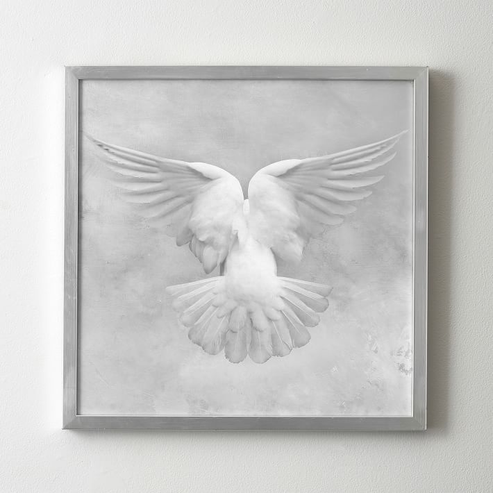 Soft Dove Framed Art