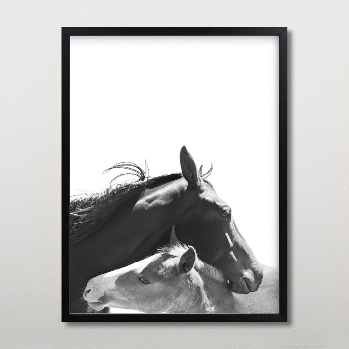 Minted® Foal Framed Art by Anne Ciotola | Pottery Barn Teen