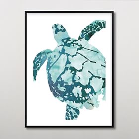 Tropical Sea Turtle Framed Art By Minted® 